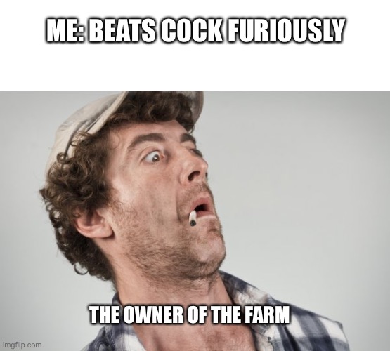 ME: BEATS COCK FURIOUSLY; THE OWNER OF THE FARM | image tagged in memes | made w/ Imgflip meme maker