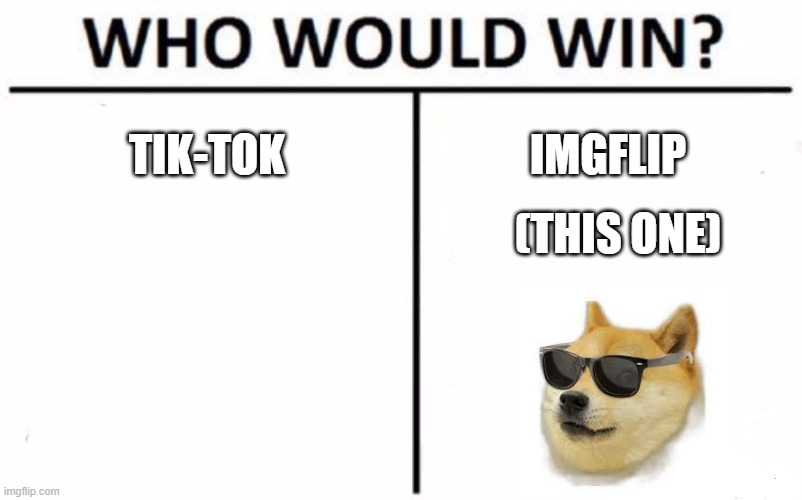 Who Would Win? | TIK-TOK; IMGFLIP; (THIS ONE) | image tagged in memes,who would win | made w/ Imgflip meme maker