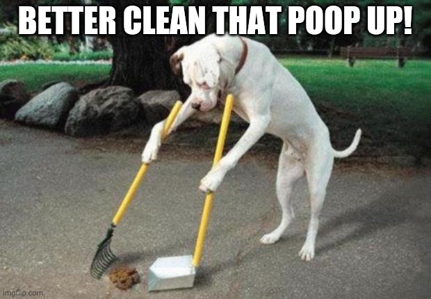 Dog poop | BETTER CLEAN THAT POOP UP! | image tagged in dog poop | made w/ Imgflip meme maker