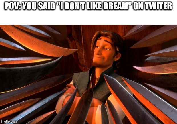plz have mercy twitter... |  POV: YOU SAID "I DON'T LIKE DREAM" ON TWITER | image tagged in flynn rider swords | made w/ Imgflip meme maker