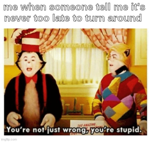 You're not just wrong your stupid | me when someone tell me it's never too late to turn around | image tagged in you're not just wrong your stupid | made w/ Imgflip meme maker
