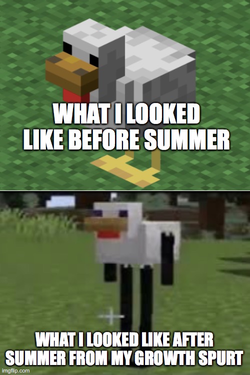this is what is happening to every one i know | WHAT I LOOKED LIKE BEFORE SUMMER; WHAT I LOOKED LIKE AFTER SUMMER FROM MY GROWTH SPURT | image tagged in blank white template,minecraft | made w/ Imgflip meme maker