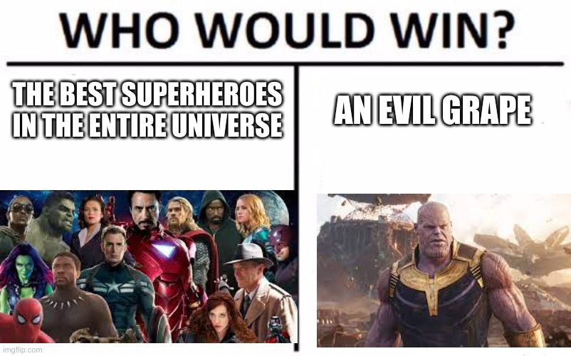 Who Would Win? | THE BEST SUPERHEROES IN THE ENTIRE UNIVERSE; AN EVIL GRAPE | image tagged in memes,who would win | made w/ Imgflip meme maker