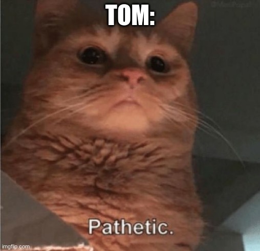 Pathetic Cat | TOM: | image tagged in pathetic cat | made w/ Imgflip meme maker