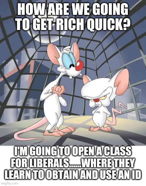 Politics and stuff | HOW ARE WE GOING TO GET RICH QUICK? I'M GOING TO OPEN A CLASS FOR LIBERALS......WHERE THEY LEARN TO OBTAIN AND USE AN ID | image tagged in pinky and the brain | made w/ Imgflip meme maker