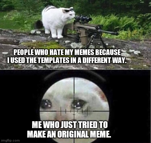 Sniper cat | PEOPLE WHO HATE MY MEMES BECAUSE I USED THE TEMPLATES IN A DIFFERENT WAY. ME WHO JUST TRIED TO MAKE AN ORIGINAL MEME. | image tagged in sniper cat | made w/ Imgflip meme maker