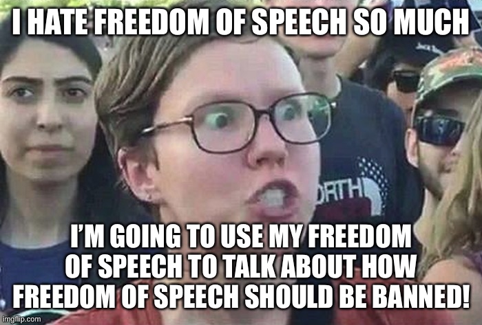 Triggered Liberal | I HATE FREEDOM OF SPEECH SO MUCH I’M GOING TO USE MY FREEDOM OF SPEECH TO TALK ABOUT HOW FREEDOM OF SPEECH SHOULD BE BANNED! | image tagged in triggered liberal | made w/ Imgflip meme maker