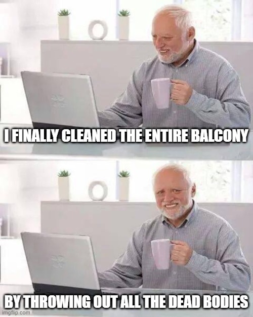 pfpfppfpfhhhpphhhhh | I FINALLY CLEANED THE ENTIRE BALCONY; BY THROWING OUT ALL THE DEAD BODIES | image tagged in memes,hide the pain harold | made w/ Imgflip meme maker