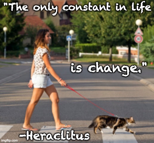 "The only constant in life is change." -Heraclitus | made w/ Imgflip meme maker