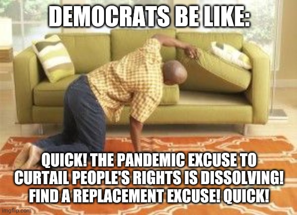 $10 another 'event' will occur by 2022 .. | DEMOCRATS BE LIKE:; QUICK! THE PANDEMIC EXCUSE TO CURTAIL PEOPLE'S RIGHTS IS DISSOLVING! FIND A REPLACEMENT EXCUSE! QUICK! | image tagged in searching | made w/ Imgflip meme maker