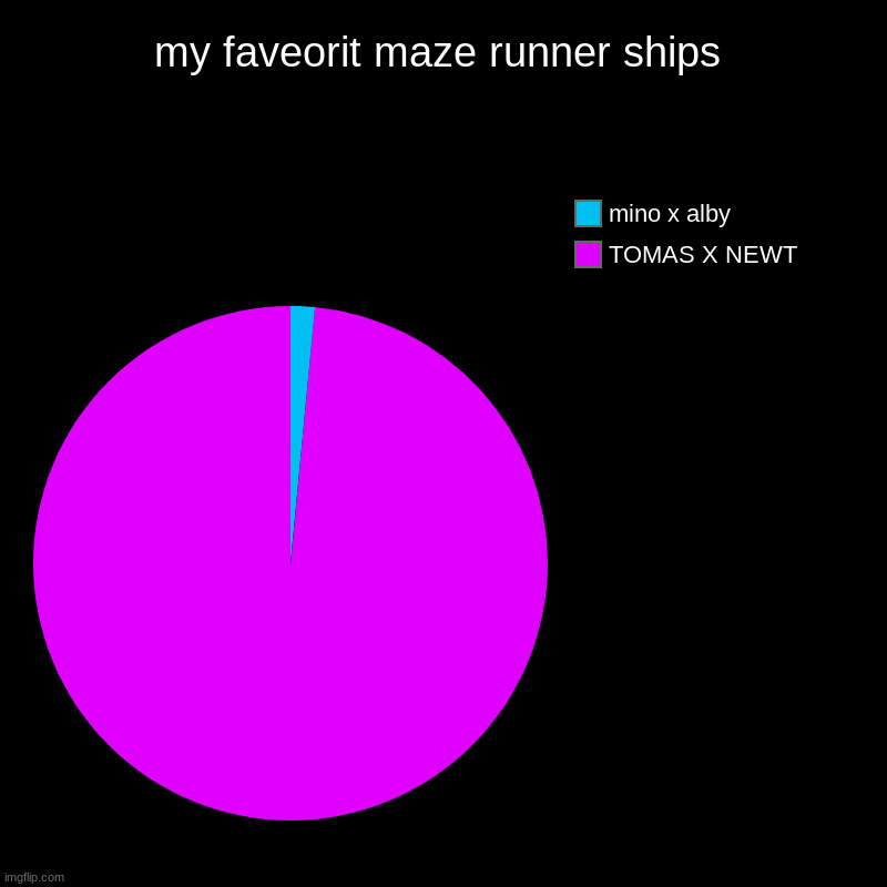 MAZE RUNNER SHIPS | my faveorit maze runner ships | TOMAS X NEWT, mino x alby | image tagged in charts,pie charts | made w/ Imgflip chart maker