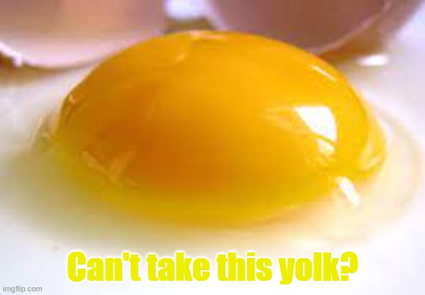 Can't take this yolk? | Can't take this yolk? | image tagged in eggs,egg | made w/ Imgflip meme maker
