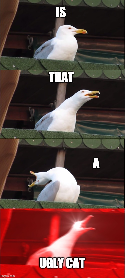 Inhaling Seagull | IS; THAT; A; UGLY CAT | image tagged in memes,inhaling seagull | made w/ Imgflip meme maker