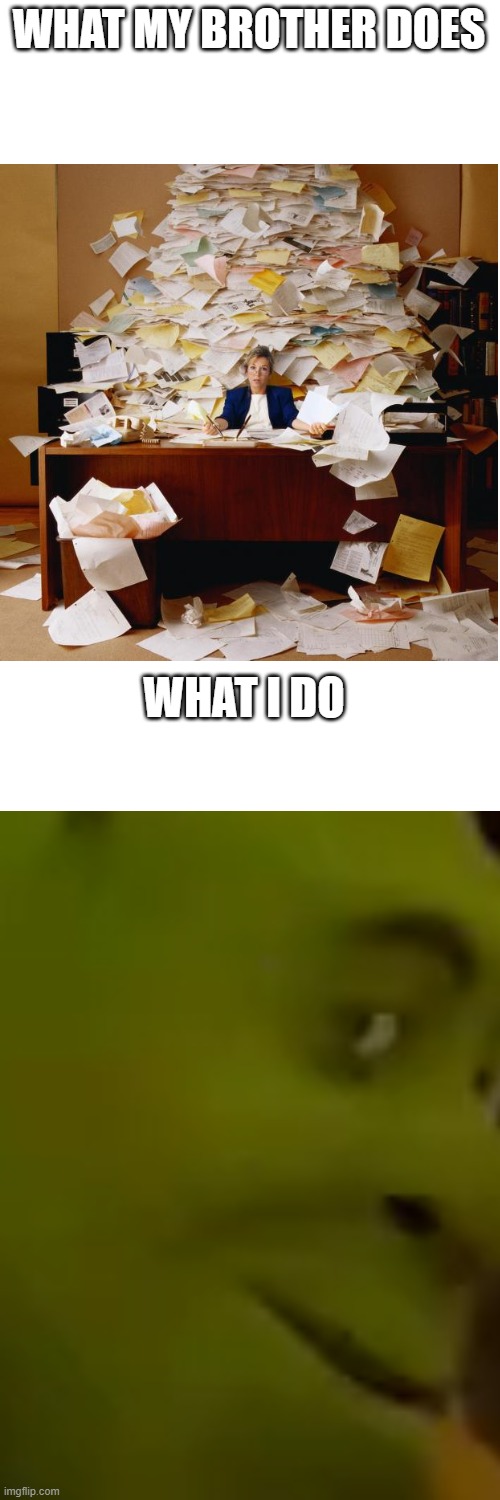 ( ͡° ͜ʖ ͡°) | WHAT MY BROTHER DOES; WHAT I DO | image tagged in blank white template | made w/ Imgflip meme maker