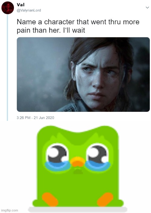 Name one character who went through more pain than her | image tagged in name one character who went through more pain than her,duolingo,memes | made w/ Imgflip meme maker