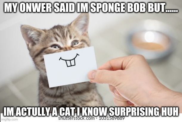 sponge bob | image tagged in funny memes | made w/ Imgflip meme maker