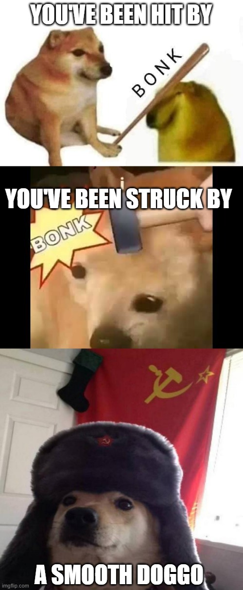 aRe YoU oKaY aNi | YOU'VE BEEN HIT BY; YOU'VE BEEN STRUCK BY; A SMOOTH DOGGO | image tagged in doge bonk,russian doge | made w/ Imgflip meme maker