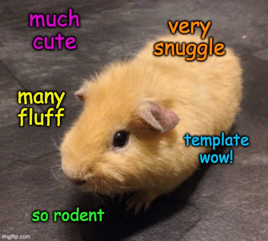 New Template, because I cannot get enough cuteness | much cute; very snuggle; many fluff; template
wow! so rodent | image tagged in guinea doge,guinea pig,cute,rodent,doge | made w/ Imgflip meme maker