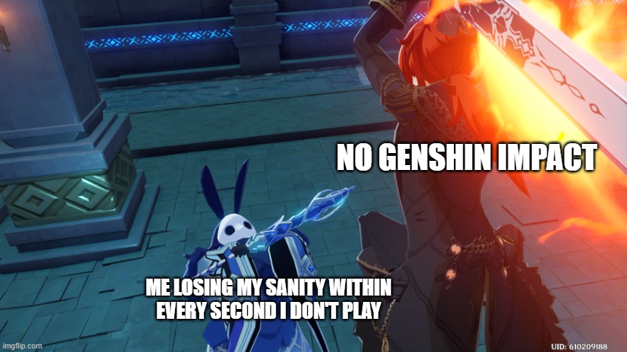 ._. | NO GENSHIN IMPACT; ME LOSING MY SANITY WITHIN EVERY SECOND I DON'T PLAY | image tagged in random genshin impact photo,genshin impact,memes | made w/ Imgflip meme maker