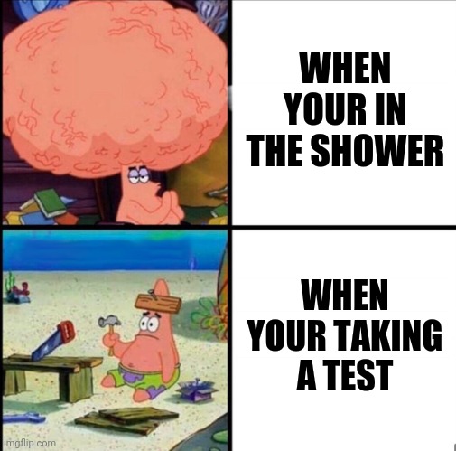 patrick big brain | WHEN YOUR IN THE SHOWER; WHEN YOUR TAKING A TEST | image tagged in patrick big brain | made w/ Imgflip meme maker