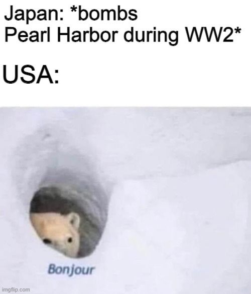 "We may have bombed their ships but they dropped THE SUN on us TWICE" - Random Japanese Civilian | Japan: *bombs Pearl Harbor during WW2*; USA: | image tagged in bonjour,ww2,pearl harbor | made w/ Imgflip meme maker