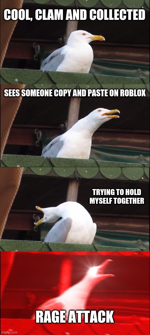 E | COOL, CLAM AND COLLECTED; SEES SOMEONE COPY AND PASTE ON ROBLOX; TRYING TO HOLD MYSELF TOGETHER; RAGE ATTACK | image tagged in memes,inhaling seagull | made w/ Imgflip meme maker