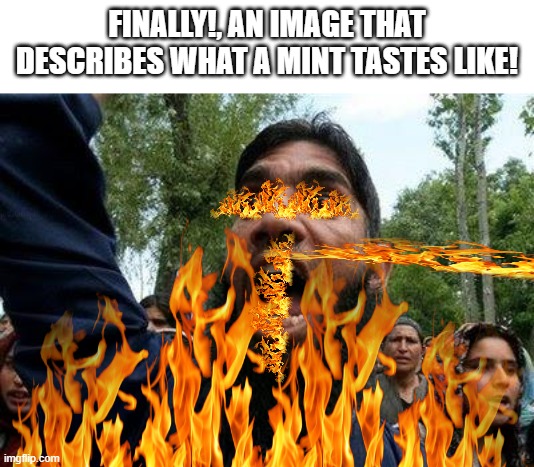 FINALLY!, AN IMAGE THAT DESCRIBES WHAT A MINT TASTES LIKE! | image tagged in angry muslim | made w/ Imgflip meme maker