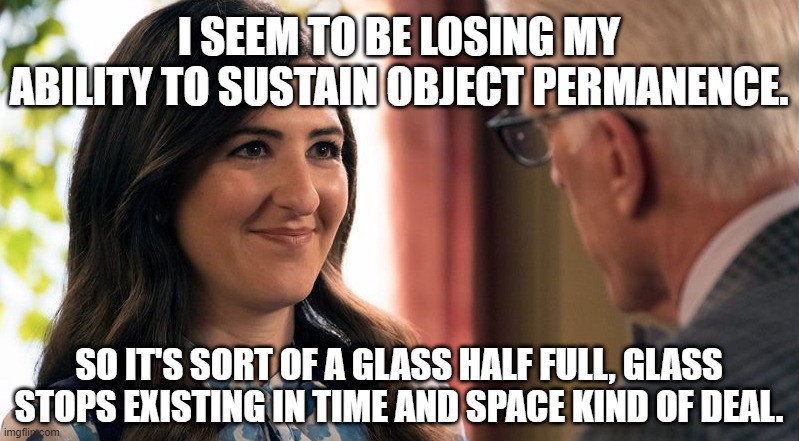 Object Permanence | I SEEM TO BE LOSING MY ABILITY TO SUSTAIN OBJECT PERMANENCE. SO IT'S SORT OF A GLASS HALF FULL, GLASS STOPS EXISTING IN TIME AND SPACE KIND OF DEAL. | image tagged in adhd,object permanence,the good place,janet,glass half empty | made w/ Imgflip meme maker