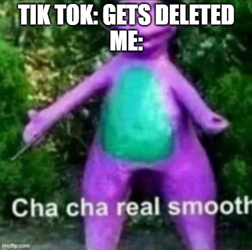 Cha Cha Real Smooth | TIK TOK: GETS DELETED

ME: | image tagged in cha cha real smooth | made w/ Imgflip meme maker