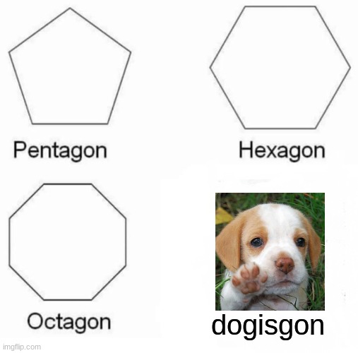 Dog-is-gon | dogisgon | image tagged in memes,pentagon hexagon octagon | made w/ Imgflip meme maker