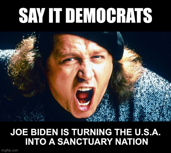 Go ahead....say it! | SAY IT DEMOCRATS; JOE BIDEN IS TURNING THE U.S.A.
 INTO A SANCTUARY NATION | image tagged in sam kinnison trump say it | made w/ Imgflip meme maker