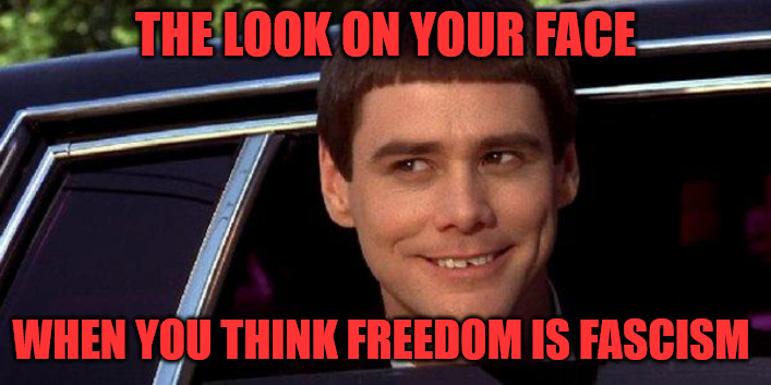 Too Dumb | THE LOOK ON YOUR FACE; WHEN YOU THINK FREEDOM IS FASCISM | image tagged in dumb and dumber | made w/ Imgflip meme maker