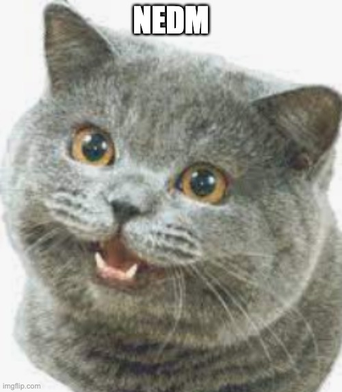 NEDM | made w/ Imgflip meme maker