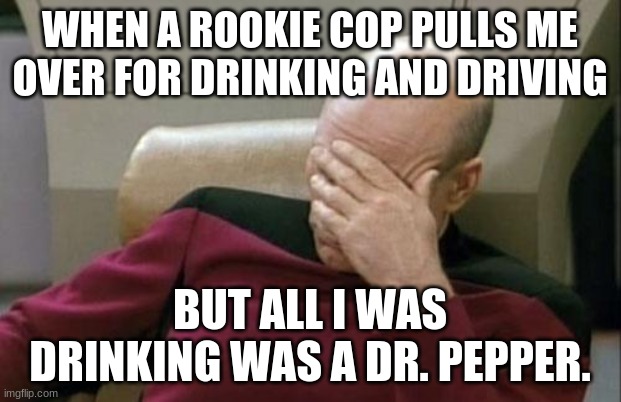 N00b level: 100 |  WHEN A ROOKIE COP PULLS ME OVER FOR DRINKING AND DRIVING; BUT ALL I WAS DRINKING WAS A DR. PEPPER. | image tagged in memes,captain picard facepalm,police,dui,dr pepper,soda | made w/ Imgflip meme maker