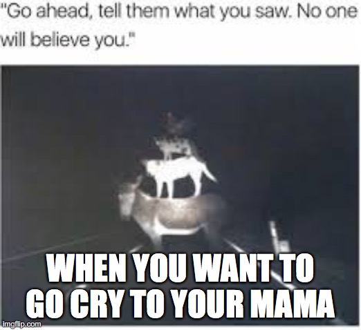 the internet is a great place | WHEN YOU WANT TO GO CRY TO YOUR MAMA | image tagged in scary,wierd | made w/ Imgflip meme maker