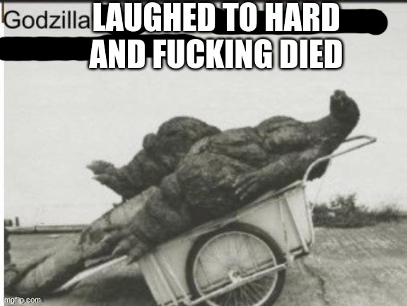 Godzilla had a stroke trying to read this and fricking died | LAUGHED TO HARD AND FUCKING DIED | image tagged in godzilla had a stroke trying to read this and fricking died | made w/ Imgflip meme maker
