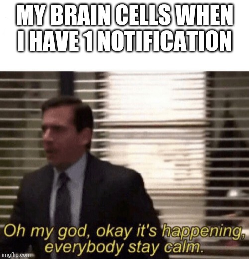 I am sooooooo jealous of those 500 notifications each week people | MY BRAIN CELLS WHEN I HAVE 1 NOTIFICATION | image tagged in oh my god okay it's happening everybody stay calm | made w/ Imgflip meme maker