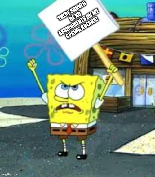 Spongebob protesting (blank sign) | THERE SHOULD BE NO ASSIGNMENTS ON MY SPRING BREAK!!! | image tagged in spongebob protesting blank sign | made w/ Imgflip meme maker