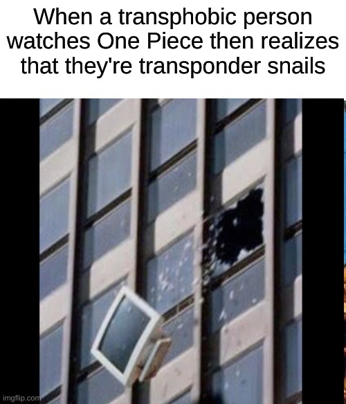 For all my One Piece fans out there | When a transphobic person watches One Piece then realizes that they're transponder snails | image tagged in one piece,anime,funny meme,transponder snails | made w/ Imgflip meme maker