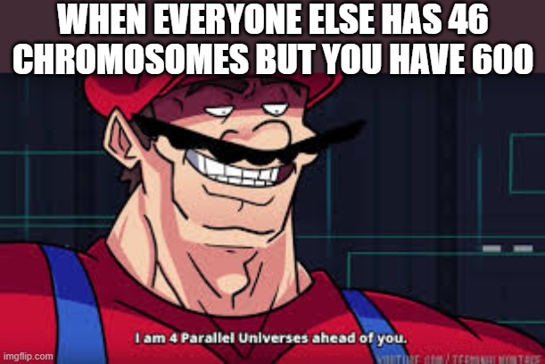 i am 4 parallel universes ahead of you | WHEN EVERYONE ELSE HAS 46  CHROMOSOMES BUT YOU HAVE 600 | image tagged in i am 4 parallel universes ahead of you,who reads these,i'm 16 so don't try it | made w/ Imgflip meme maker
