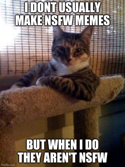 The Most Interesting Cat In The World | I DONT USUALLY MAKE NSFW MEMES; BUT WHEN I DO THEY AREN'T NSFW | image tagged in memes,the most interesting cat in the world | made w/ Imgflip meme maker