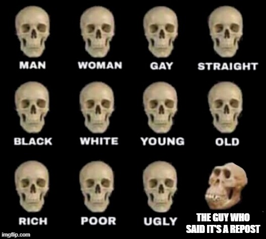 idiot skull | THE GUY WHO SAID IT'S A REPOST | image tagged in idiot skull | made w/ Imgflip meme maker