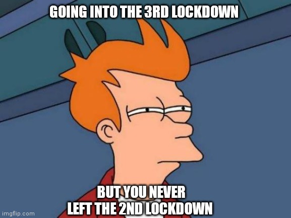 3rd lockdown | GOING INTO THE 3RD LOCKDOWN; BUT YOU NEVER LEFT THE 2ND LOCKDOWN | image tagged in memes,futurama fry | made w/ Imgflip meme maker