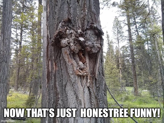 NOW THAT’S JUST  HONESTREE FUNNY! | made w/ Imgflip meme maker