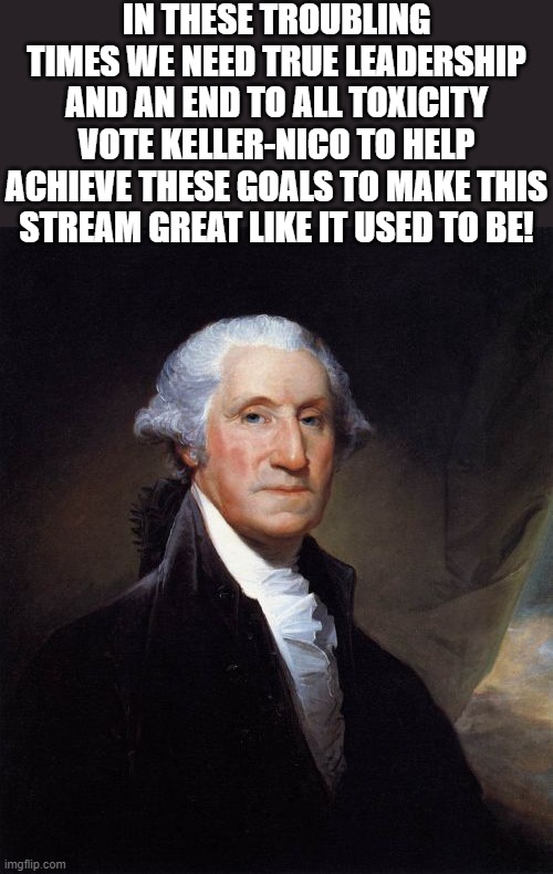 George Washington Meme | IN THESE TROUBLING TIMES WE NEED TRUE LEADERSHIP AND AN END TO ALL TOXICITY VOTE KELLER-NICO TO HELP ACHIEVE THESE GOALS TO MAKE THIS STREAM GREAT LIKE IT USED TO BE! | image tagged in george washington,i'm 16 so don't try it,who reads these | made w/ Imgflip meme maker
