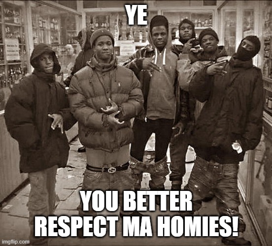 All My Homies Hate | YE YOU BETTER RESPECT MA HOMIES! | image tagged in all my homies hate | made w/ Imgflip meme maker