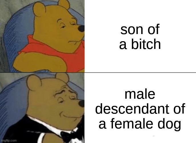 E | son of a bitch; male descendant of a female dog | image tagged in memes,tuxedo winnie the pooh | made w/ Imgflip meme maker