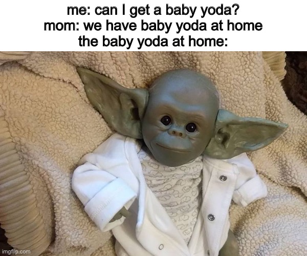 ah no thanks | me: can I get a baby yoda?
mom: we have baby yoda at home
the baby yoda at home: | image tagged in knock off baby yoda | made w/ Imgflip meme maker