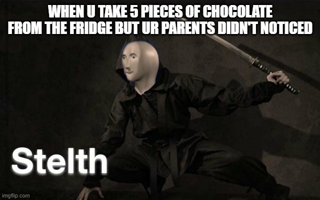 STELTH! | WHEN U TAKE 5 PIECES OF CHOCOLATE FROM THE FRIDGE BUT UR PARENTS DIDN'T NOTICED | image tagged in stelth,memes | made w/ Imgflip meme maker