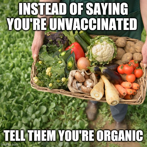 Instead of saying you're unvaccinated | INSTEAD OF SAYING YOU'RE UNVACCINATED; TELL THEM YOU'RE ORGANIC | image tagged in vaccination,covid | made w/ Imgflip meme maker